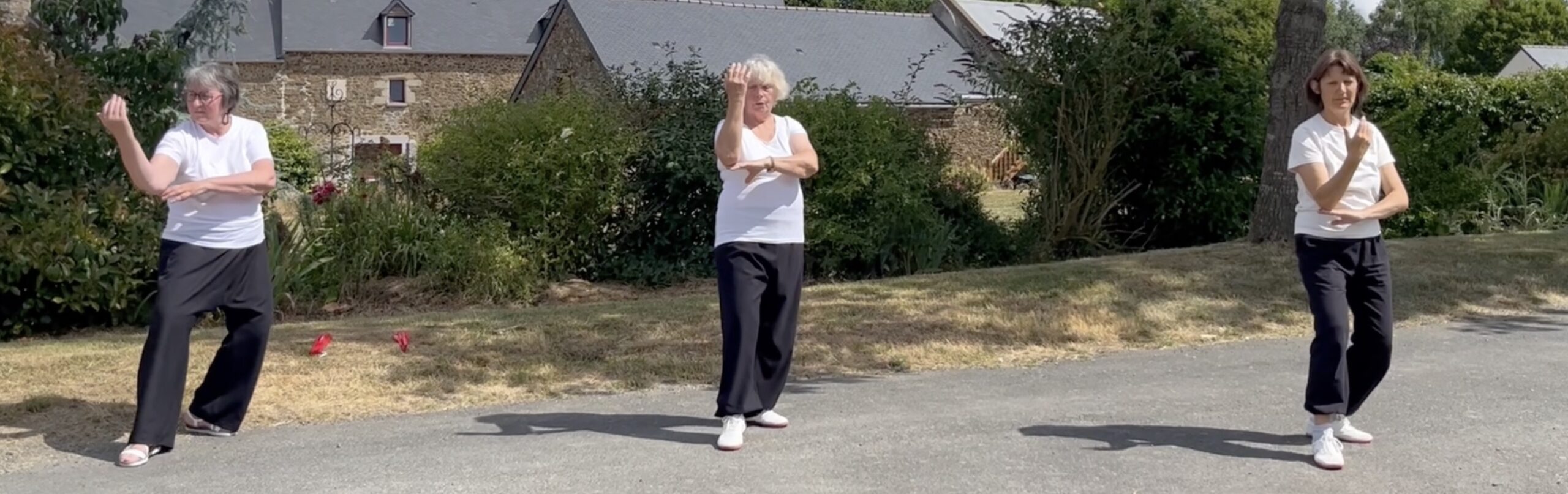 Pratiquez le Yangjia Michuan Taijiquan