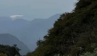 Le Tuishou